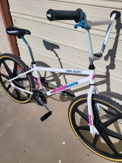 Dyno Nitro 24 cruiser