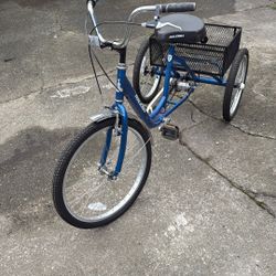 Raleigh 3 Wheeler