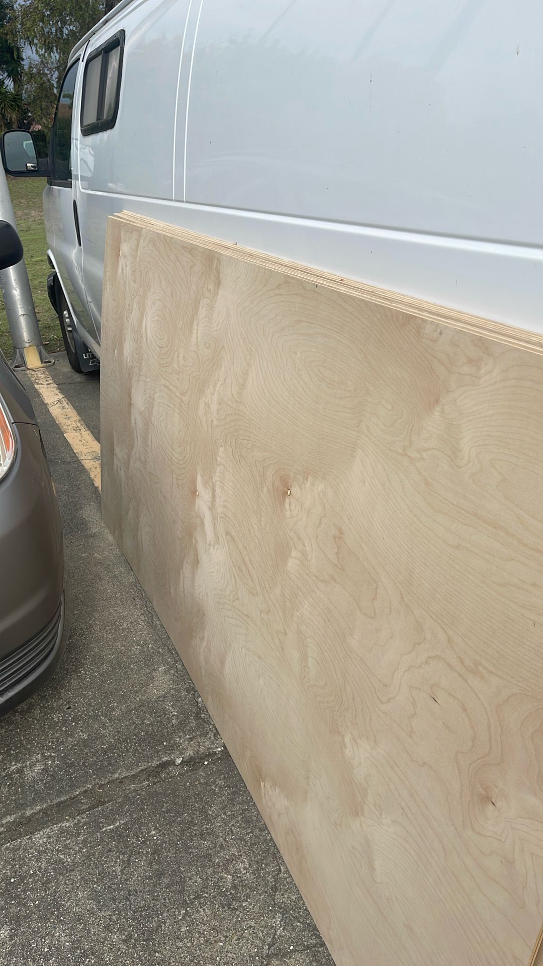 Quarter Inch Plywood. 13 Pieces 8 X 4.