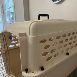 Very Dash Kennel Ultra – Good Condition