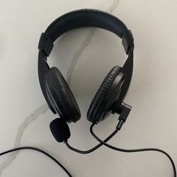 Headset With Microphone