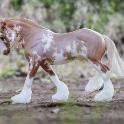 New BREYER collector club special Heath