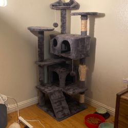 Cat Scratch Tower