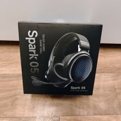 Wireless Gaming Headsets for PS5/PS4/PC/Switch/Xbox with Noise Cancelling Mic