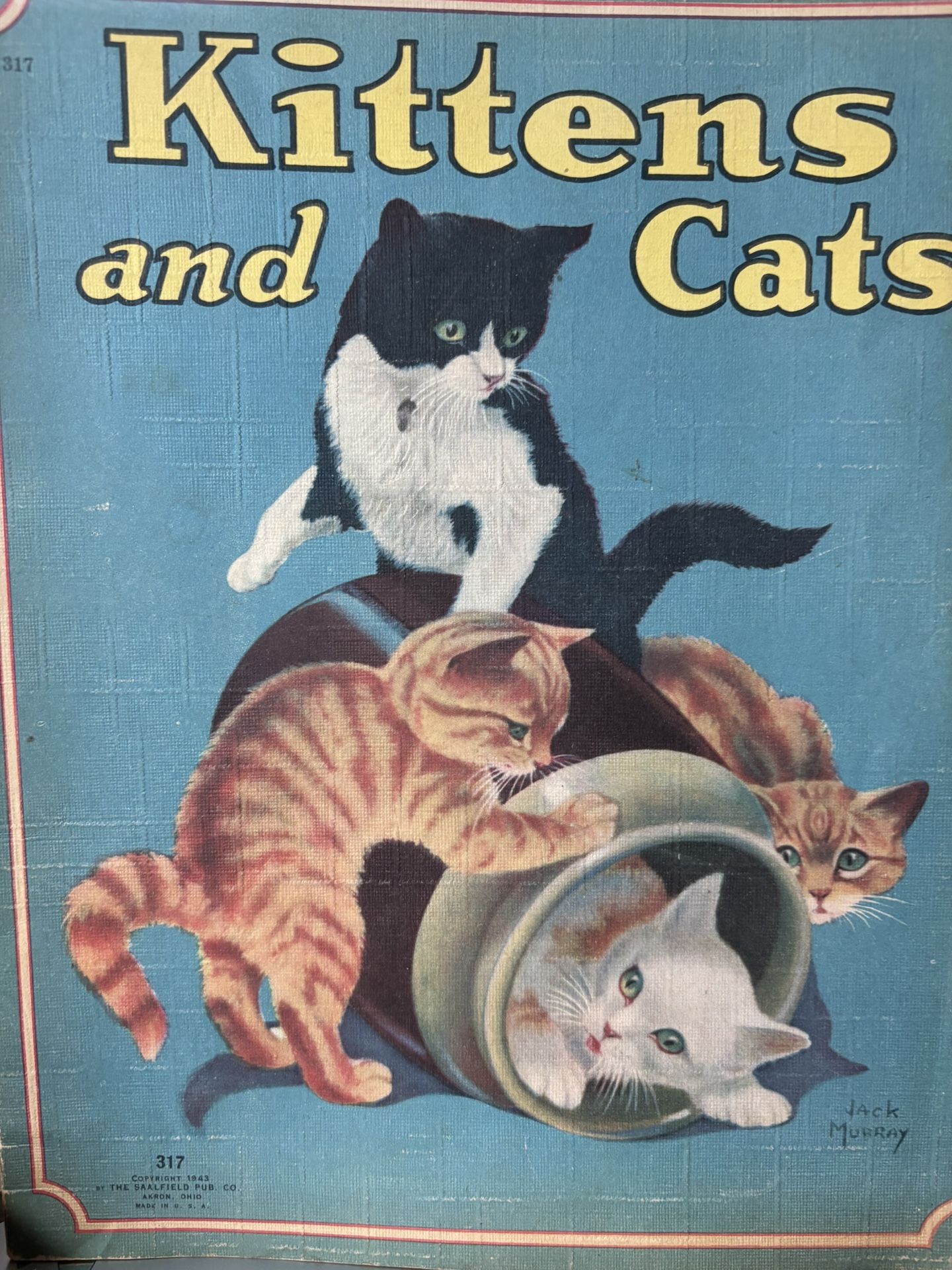 Kittens and Cats Book by Jack Murray.