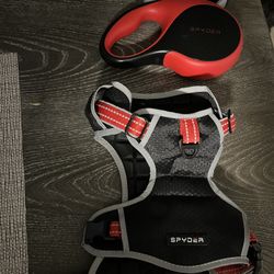Spyder Dog Harness Set 