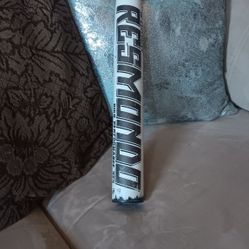 Softball Bat