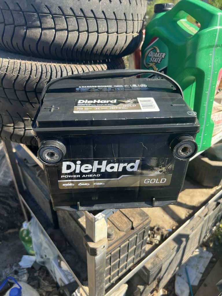 In Good Condition Die Hard Gold Side Post car Battery 100% Charge