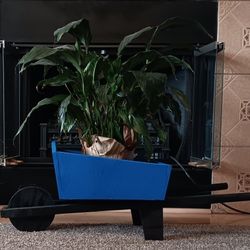 Wheelbarrow  Plant Stand 