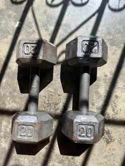 Dumbbell 20 lbs each