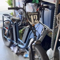 Radrunner E-bike 