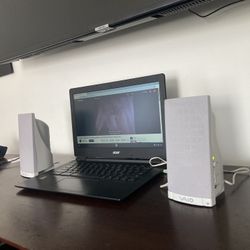 Sony Computer Speakers 