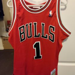 Derrick Rose 2008-2009 Chicago Bulls Jersey