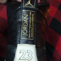 
 🔥Air Jordan 12 Retro 'Reptile' sneaker $50