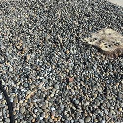 Decorative Stones/Pebbles
