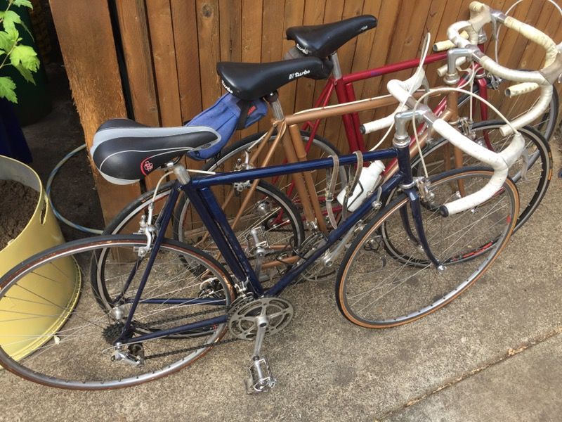Custom Dale Saso Bike with Campagnolo Components