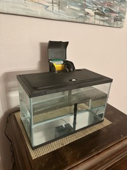 Aquarium 5 gallons