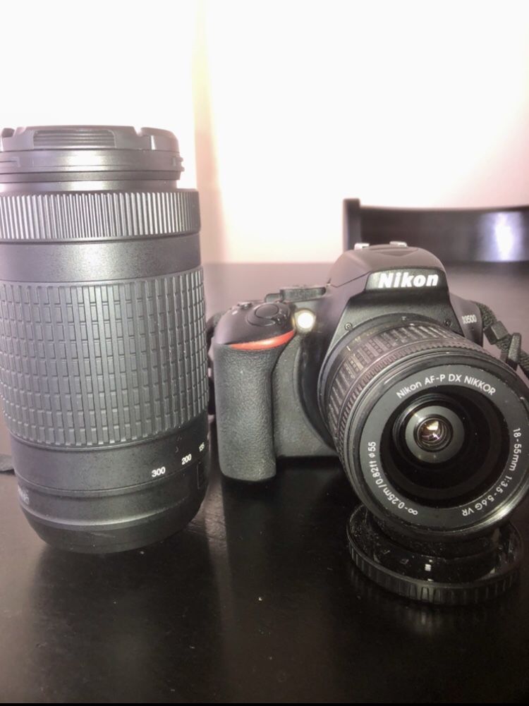 Nikon d3500 w/ 2 Lenses and TONS of Accessories