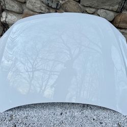 ✅ 👍 2011 2012 2013 2014 2015 2016 2017 2018 Volkswagen Jetta HOOD ORIGINAL WHITE