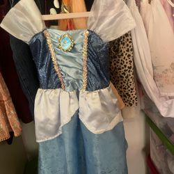 Cinderella Dress Costume