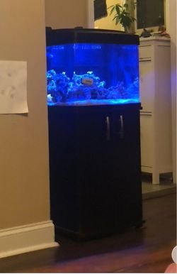 30 Gallon Saltwater Reef Cube Aquarium – Complete Setup