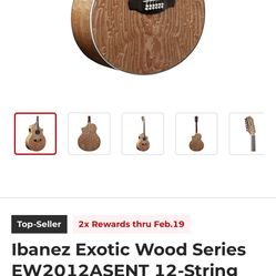 Ibanez Exotic Wood Series 12 String Guitar