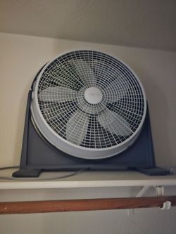 Fan