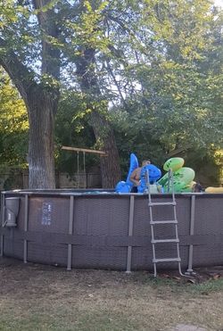 Funscicle Pool