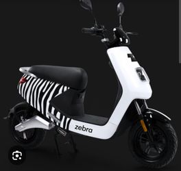 Zebra Moped
