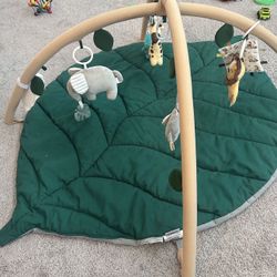 Baby Play Gym 