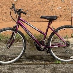 Next Elevation Mountain Bike (needs work)