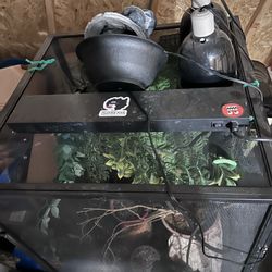 Chameleon Cage 