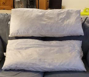 King Sized Pillows