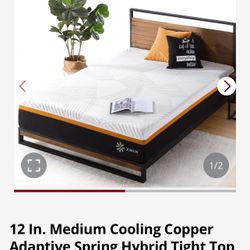 Twin-Complete Bed