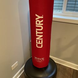 Wave Master Punching Bag