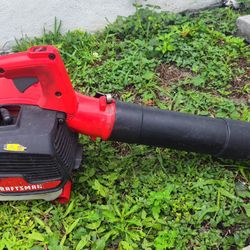 gasoline leaf blower