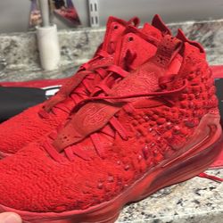 Lebron Red Carpet 10.5 Uses