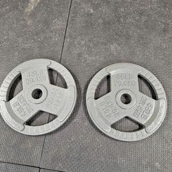 2 inch Cast Iron 45lb Weight Plate Set