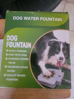 Dog fountain