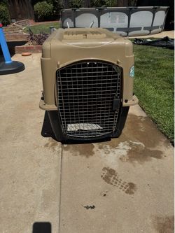 Enclosed pet kennel with closing door