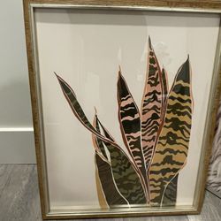 Set Of 3 Framed Plant Photos