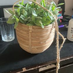 Fake Plant with String