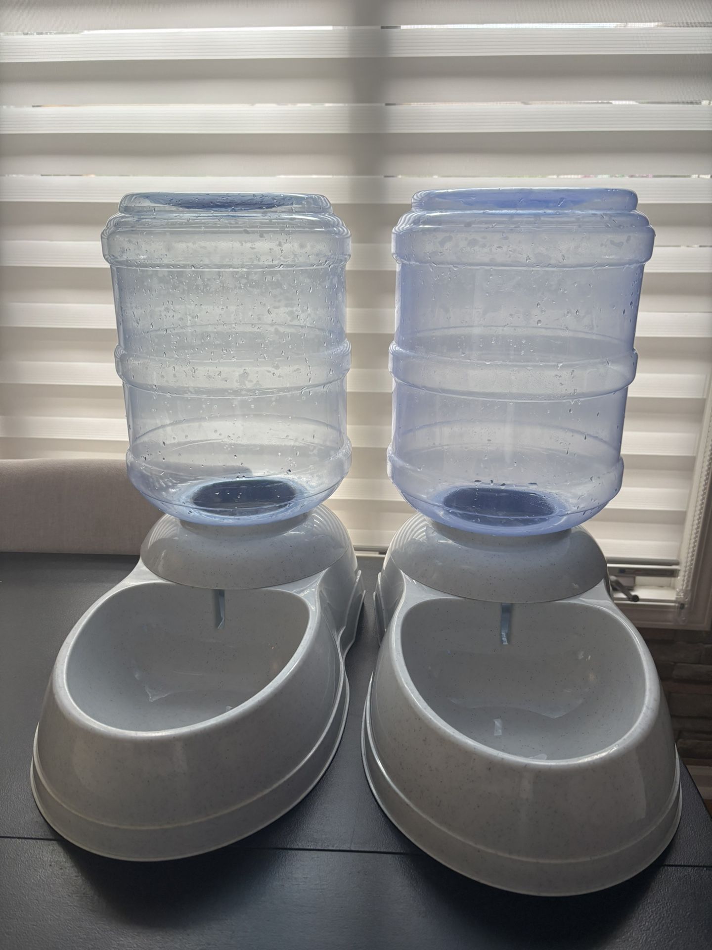 3 Gallon Dog Water Bowls/ Dispensers