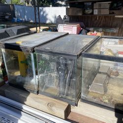 Fish And Rodent Tanks Free