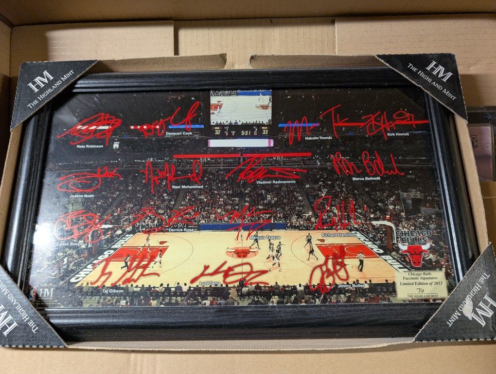 2013 Chicago Bulls Signature Players