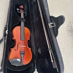 Viola