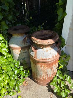Old dairy cans