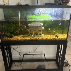 55 gallon fish tank with base