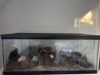 Fish Tank Set Up For Hermit Crabs