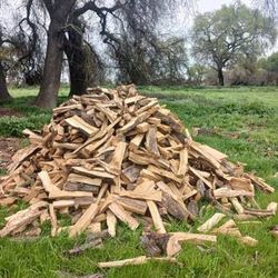 Oak Firewood Cords